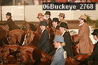 06buckeye_2768 proof