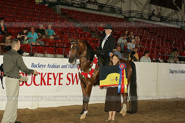 Proof 06buckeye_2770