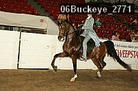 06buckeye_2771 proof