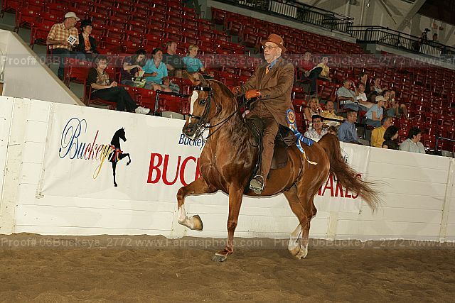 Proof 06buckeye_2772