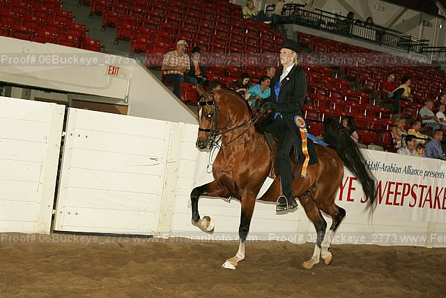 Proof 06buckeye_2773