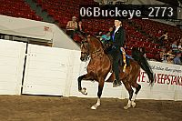 06buckeye_2773 proof