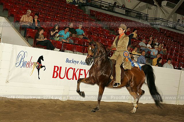 Proof 06buckeye_2774