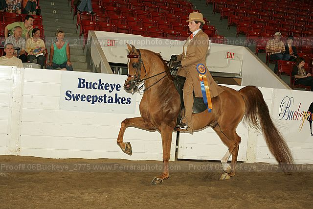 Proof 06buckeye_2775