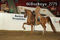 06buckeye_2775 proof