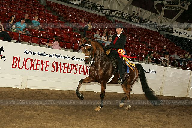 Proof 06buckeye_2776