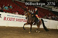 06buckeye_2776 proof