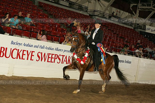 Proof 06buckeye_2777