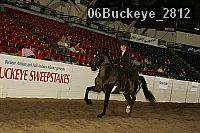 06buckeye_2812 proof