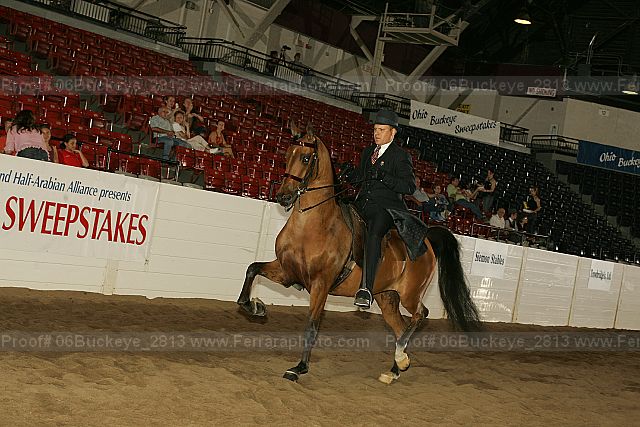 Proof 06buckeye_2813