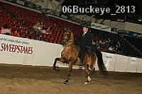 06buckeye_2813 proof
