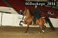 06buckeye_2814 proof