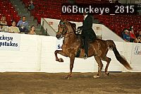 06buckeye_2815 proof