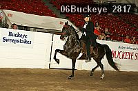 06buckeye_2817 proof