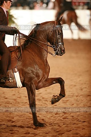 Proof 06buckeye_2818