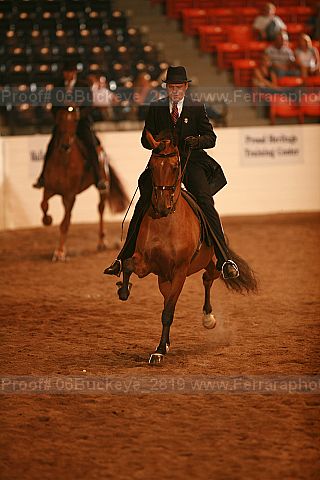 Proof 06buckeye_2819