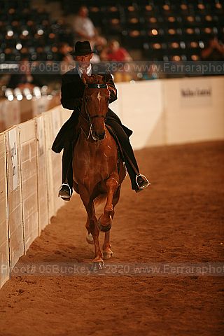 Proof 06buckeye_2820
