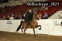 06buckeye_2821 proof