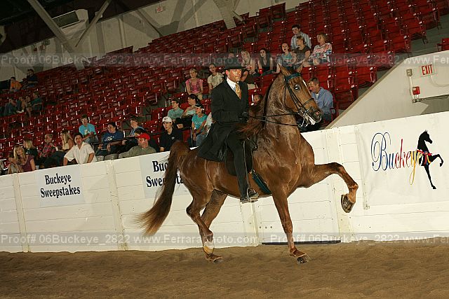 Proof 06buckeye_2822