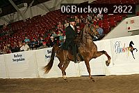 06buckeye_2822 proof