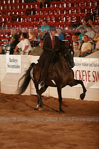 Proof 06buckeye_2823
