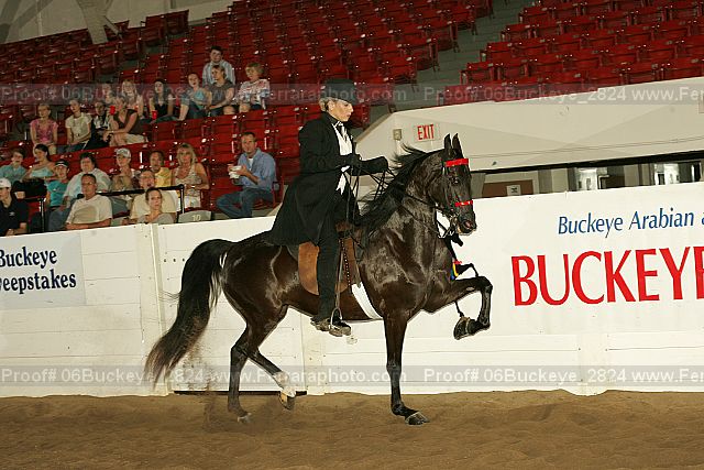 Proof 06buckeye_2824
