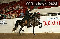 06buckeye_2824 proof