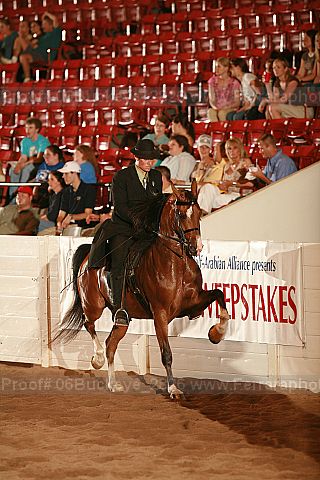 Proof 06buckeye_2826