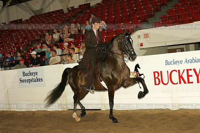 Proof 06buckeye_2827