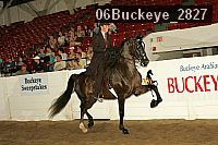 06buckeye_2827 proof
