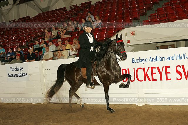 Proof 06buckeye_2828
