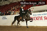 06buckeye_2828 proof
