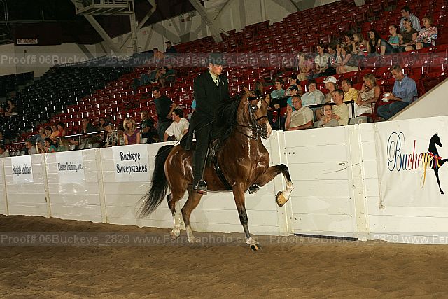 Proof 06buckeye_2829