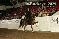 06buckeye_2829 proof