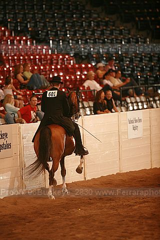 Proof 06buckeye_2830