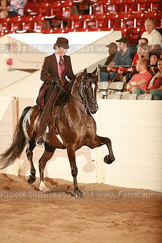 Proof 06buckeye_2831