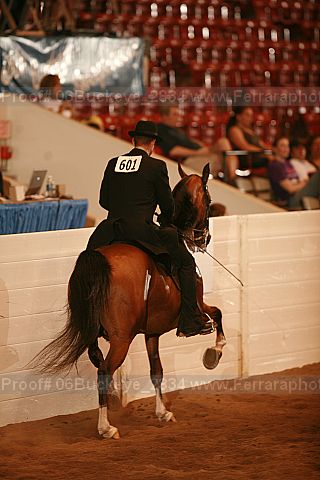 Proof 06buckeye_2834
