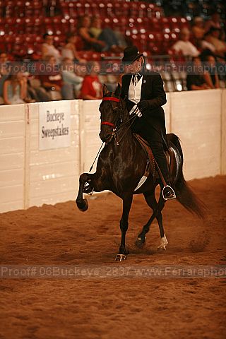 Proof 06buckeye_2837
