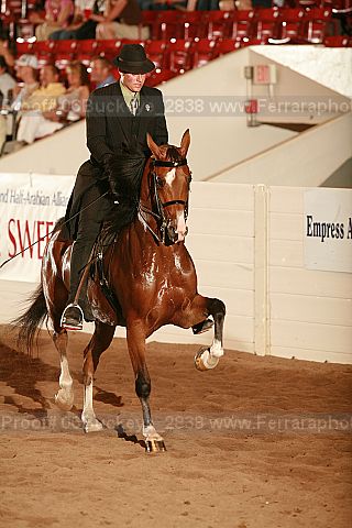 Proof 06buckeye_2838