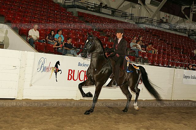 Proof 06buckeye_2839