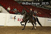 06buckeye_2839 proof
