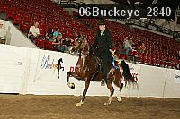 06buckeye_2840 proof