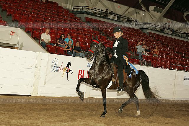 Proof 06buckeye_2841