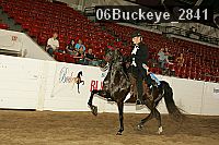 06buckeye_2841 proof