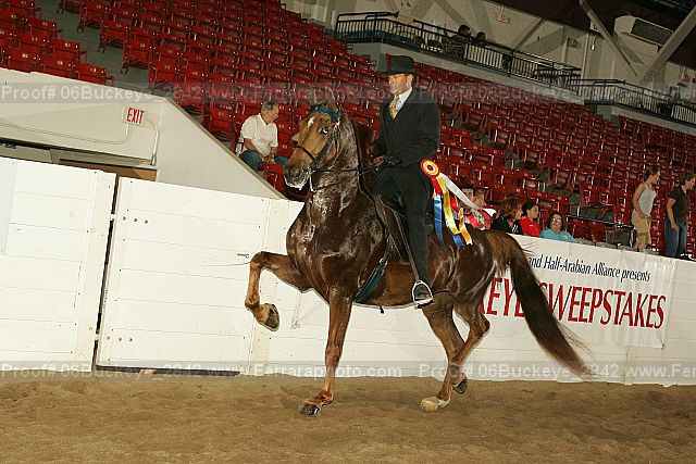 Proof 06buckeye_2842