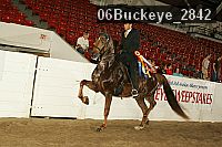 06buckeye_2842 proof