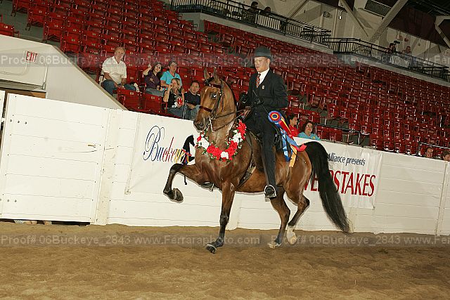 Proof 06buckeye_2843