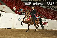 06buckeye_2843 proof