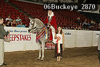 06buckeye_2870 proof