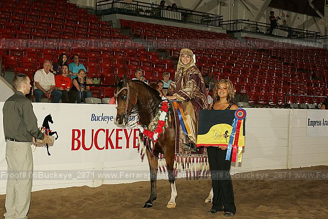 Proof 06buckeye_2871